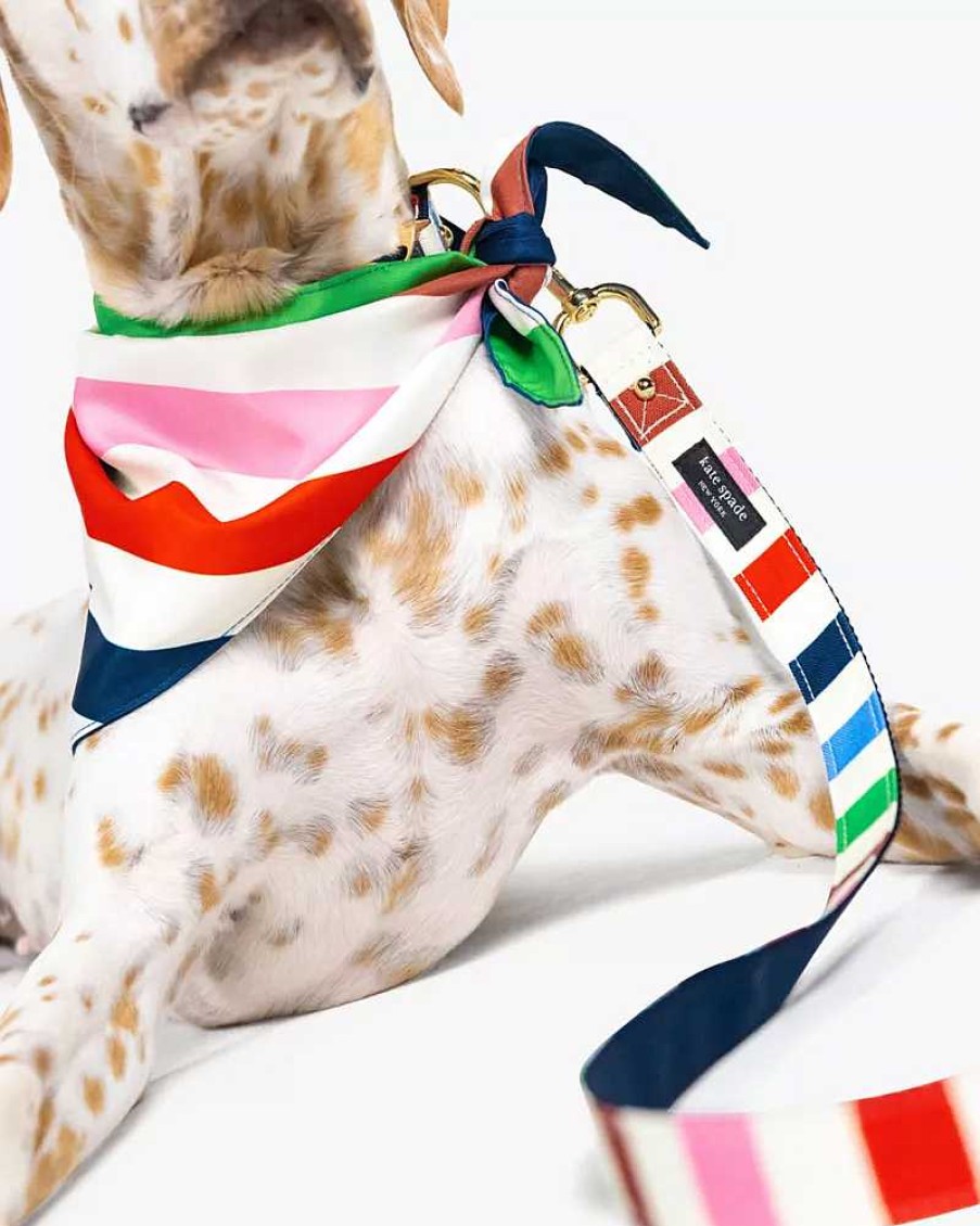 Accessories Kate Spade Outlet | Adventure Stripe Leash