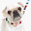 Accessories Kate Spade Outlet | Adventure Stripe Collar