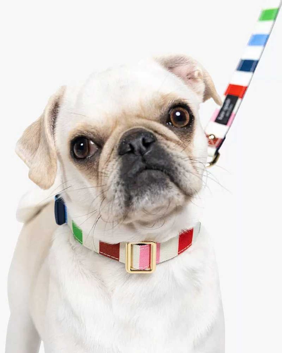 Accessories Kate Spade Outlet | Adventure Stripe Collar