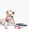 Accessories Kate Spade Outlet | Adventure Stripe Leash