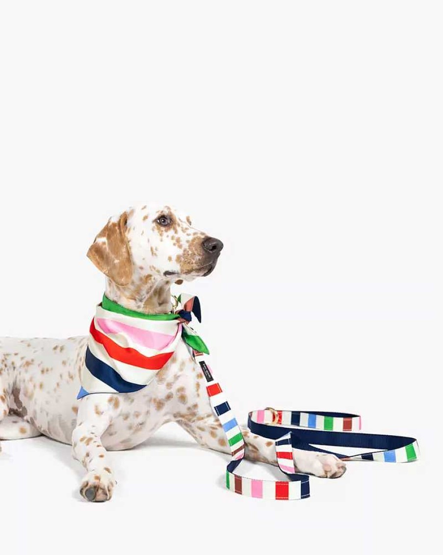 Accessories Kate Spade Outlet | Adventure Stripe Leash