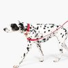 Accessories Kate Spade Outlet | Colorblock Leash