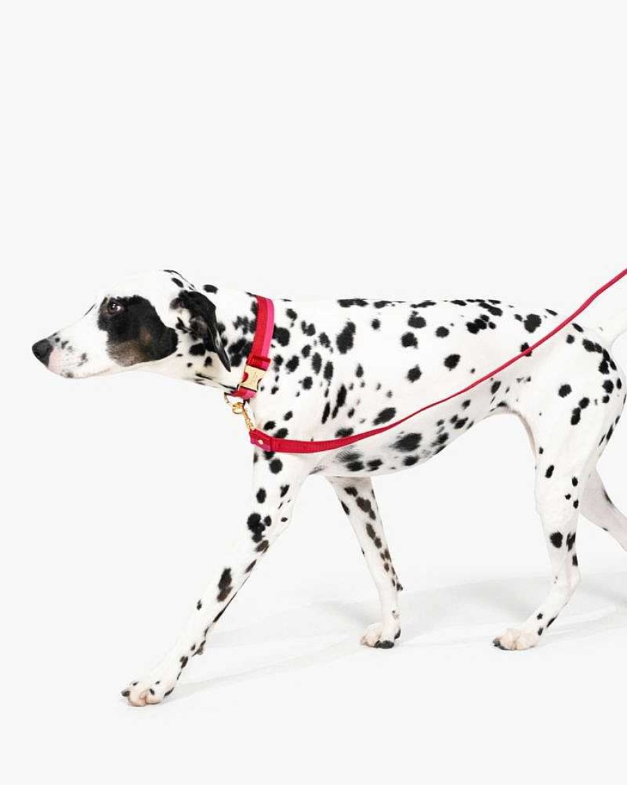 Accessories Kate Spade Outlet | Colorblock Leash