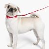 Accessories Kate Spade Outlet | Colorblock Leash