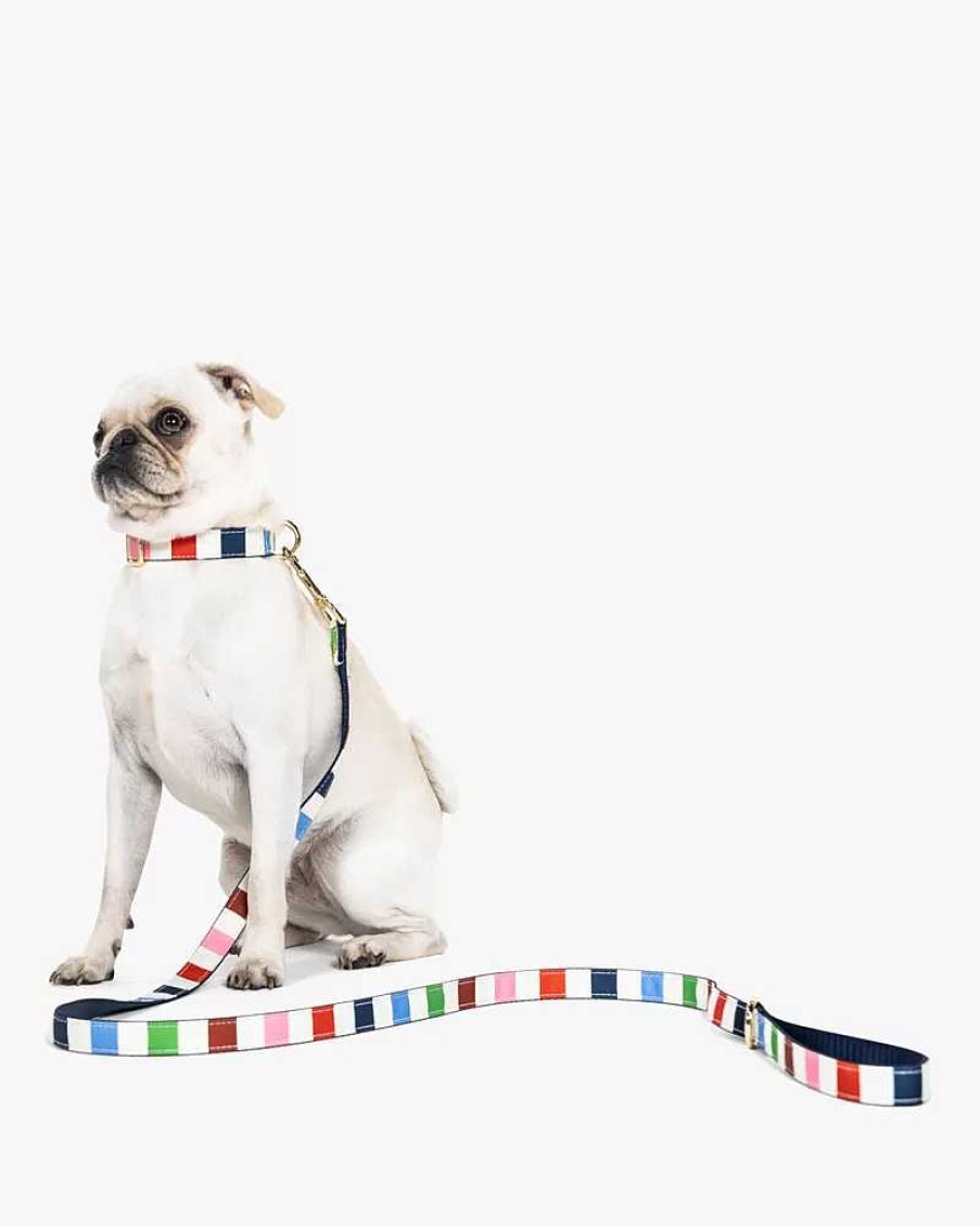 Accessories Kate Spade Outlet | Adventure Stripe Leash