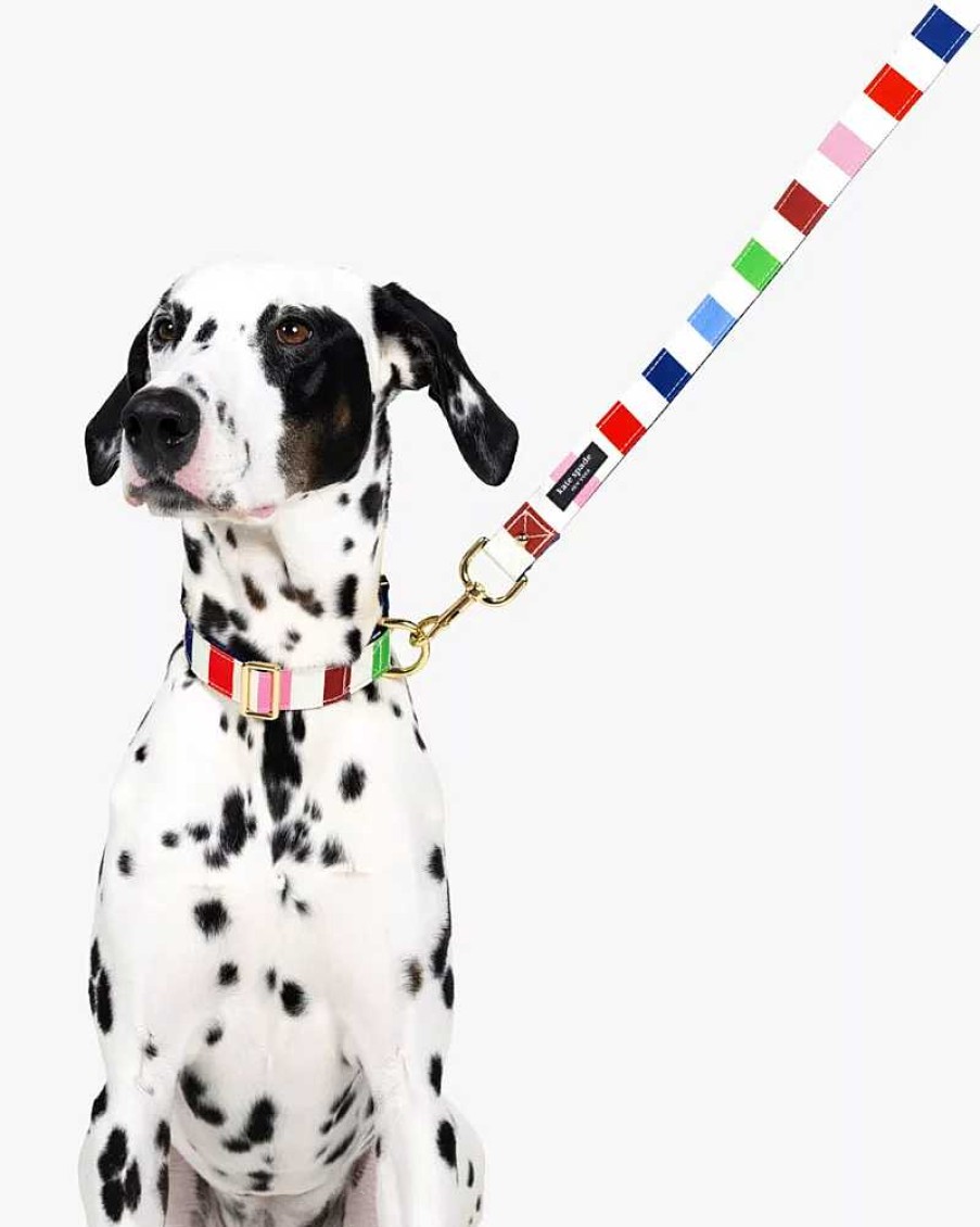 Accessories Kate Spade Outlet | Adventure Stripe Collar