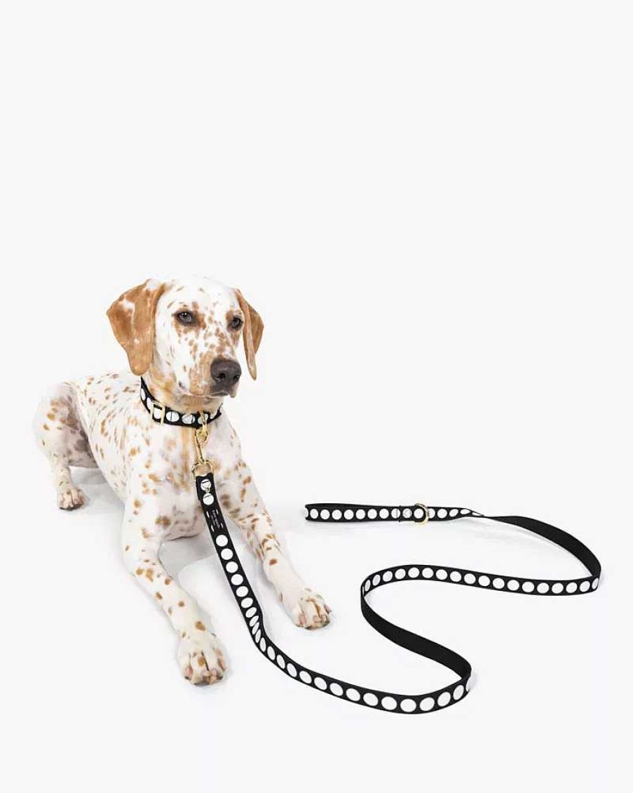 Accessories Kate Spade Outlet | Art Dot Leash